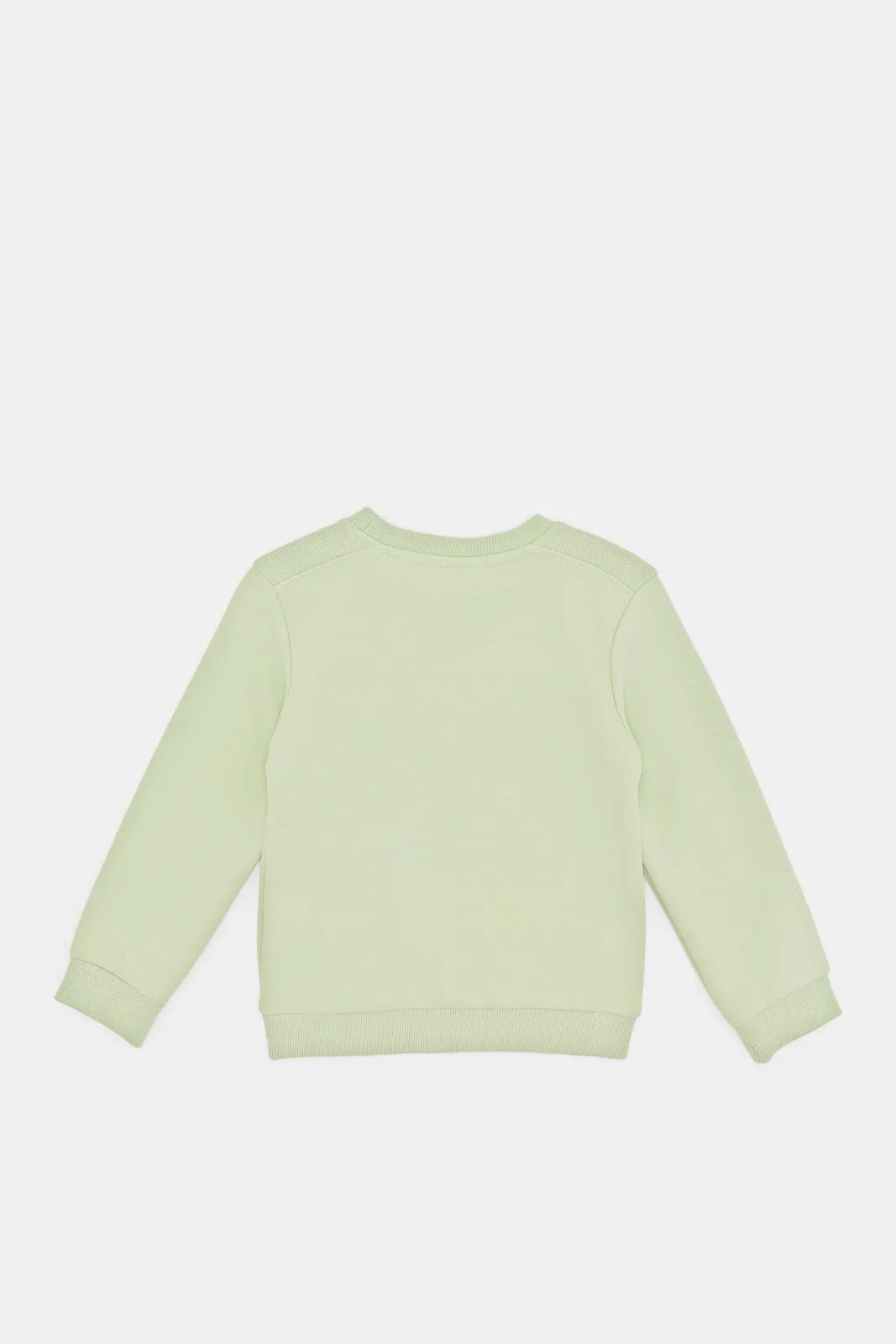 Infant Boys Textured Fabric Crew Sweatshirts